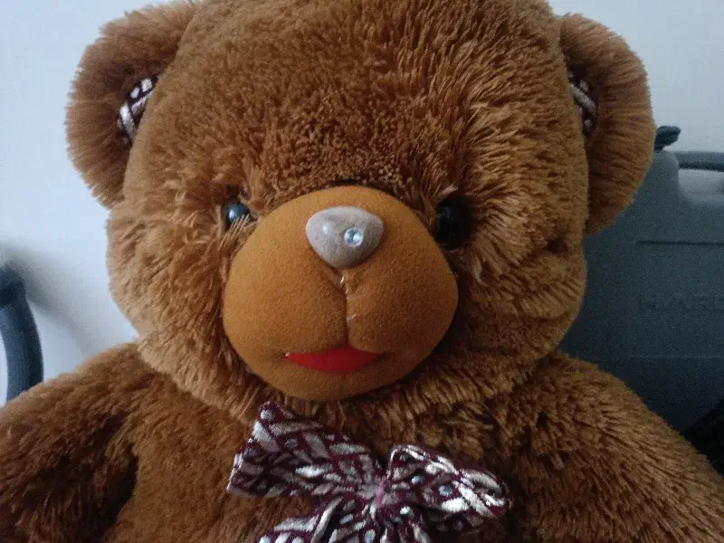 عروسک خرسی|اسباب‌بازی بچه|پرند, فاز ۶|دیوار