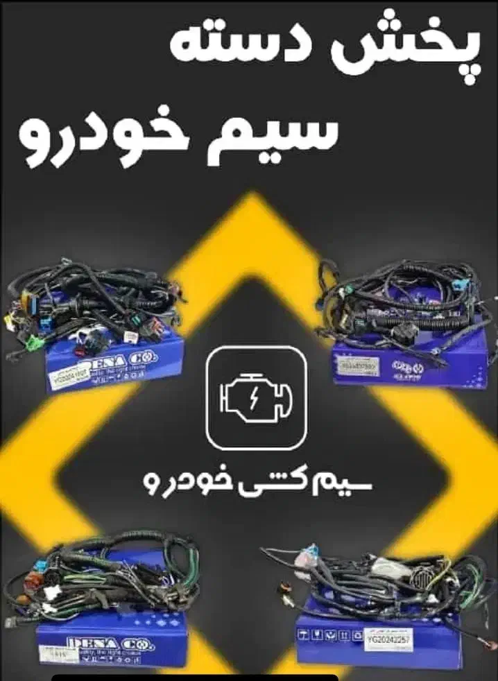 تبدیل کاربراتور به انژکتور پژو و پراید|خدمات موتور و ماشین|زاهدان, |دیوار