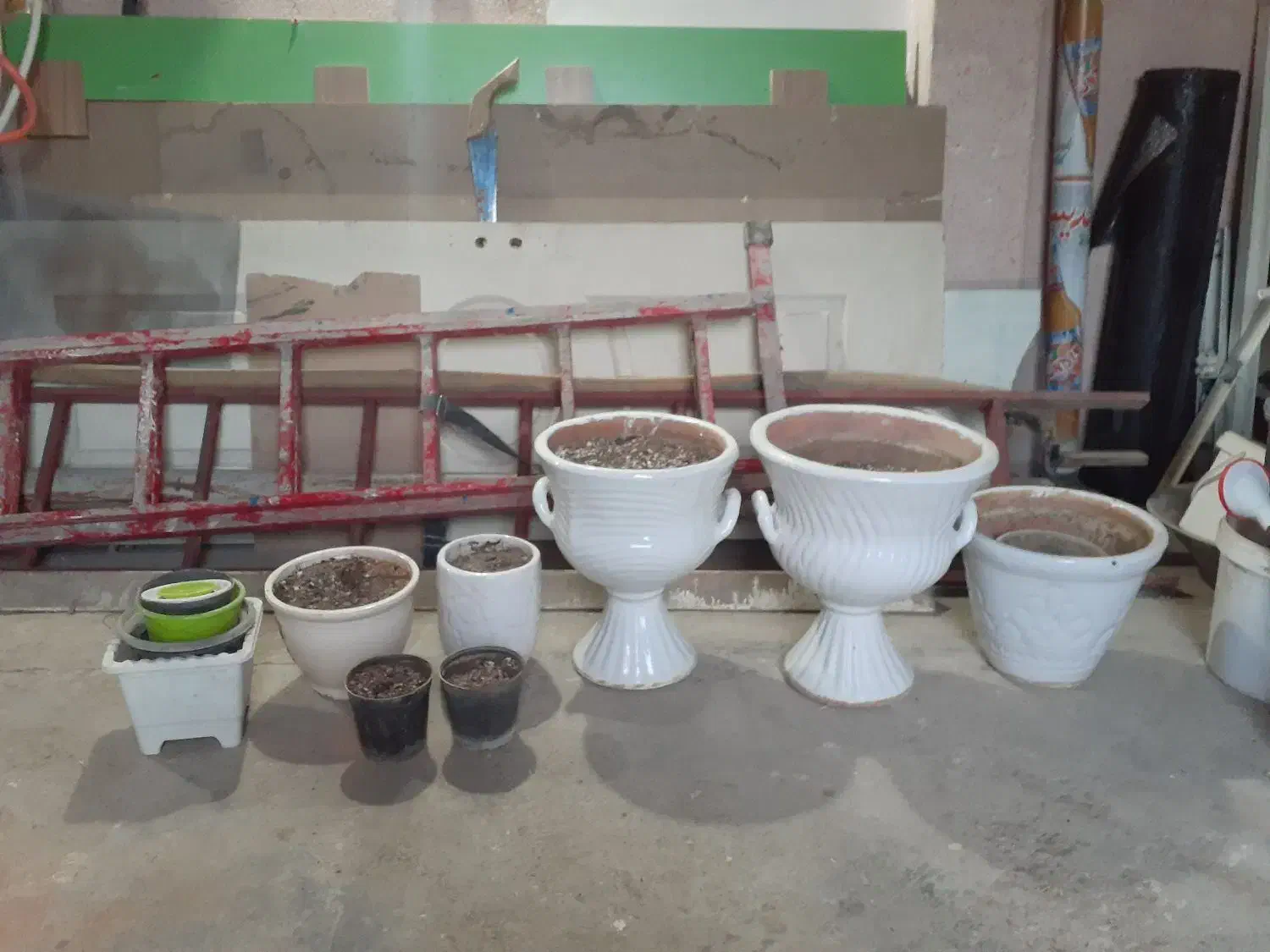 گل وگیاه|گل و گیاه طبیعی|بروجرد, |دیوار