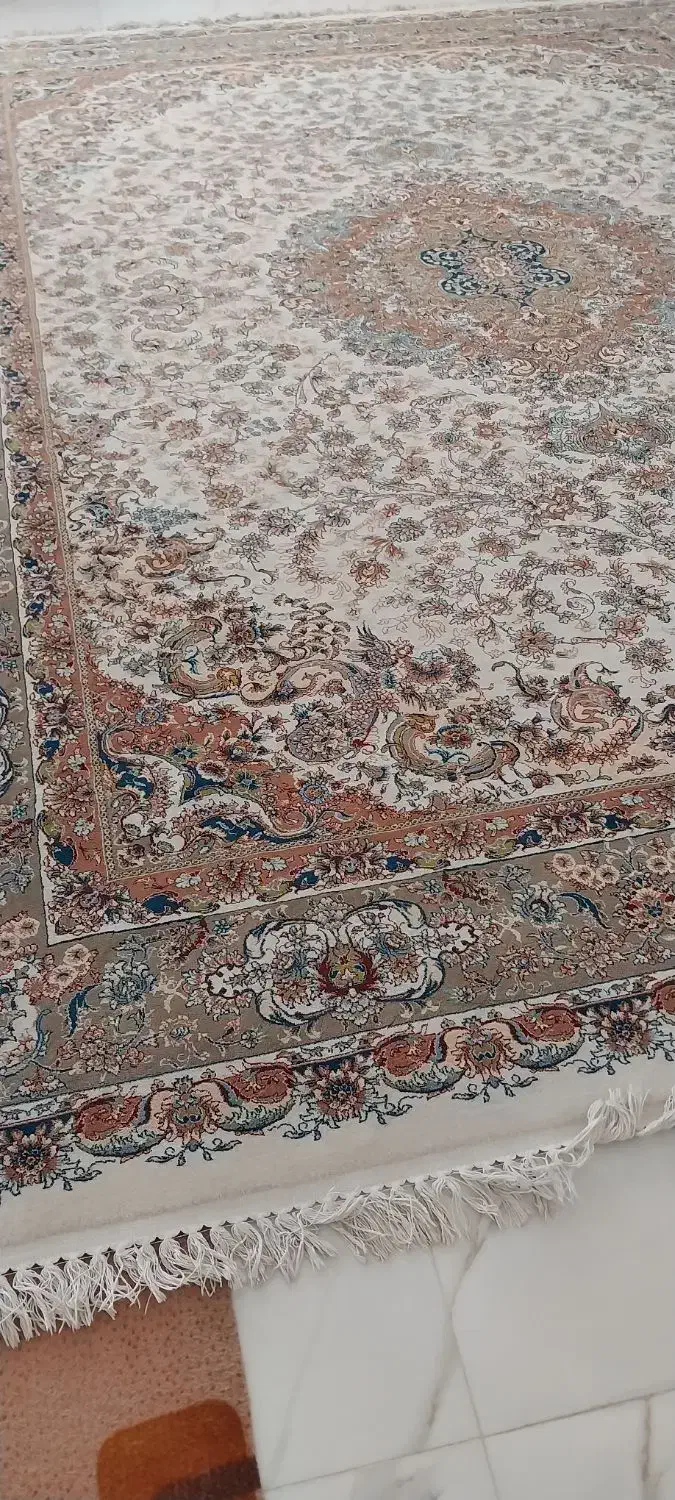 فروش فرش کرم|فرش|بوکان, |دیوار