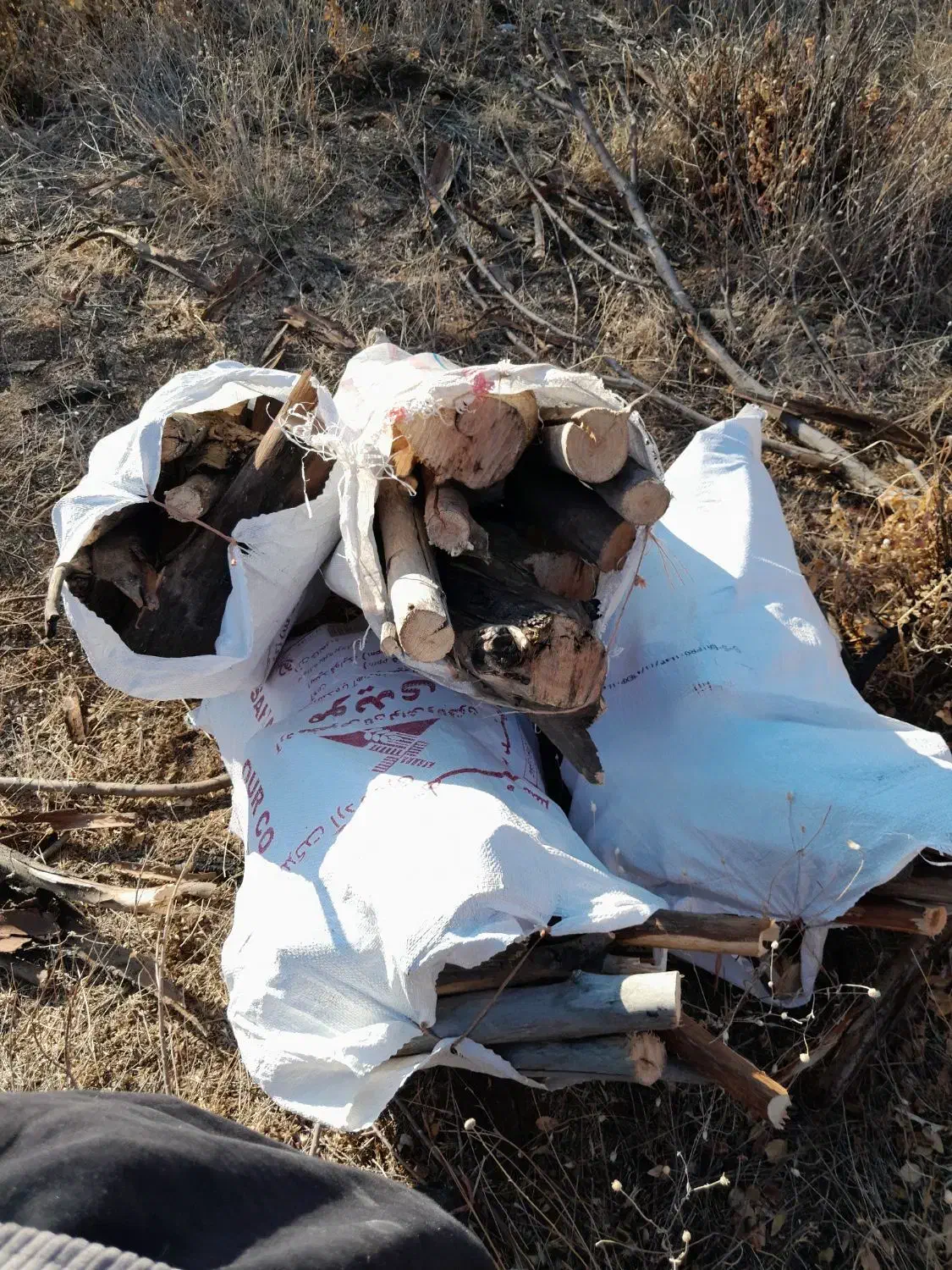 چوب خشک|عمدهفروشی|سقز, |دیوار