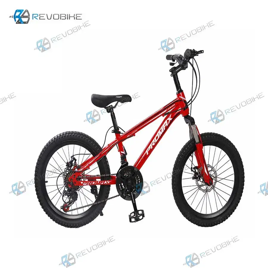 دوچرخه ۲۰|دوچرخه، اسکیت، اسکوتر|ری, امین آباد|دیوار