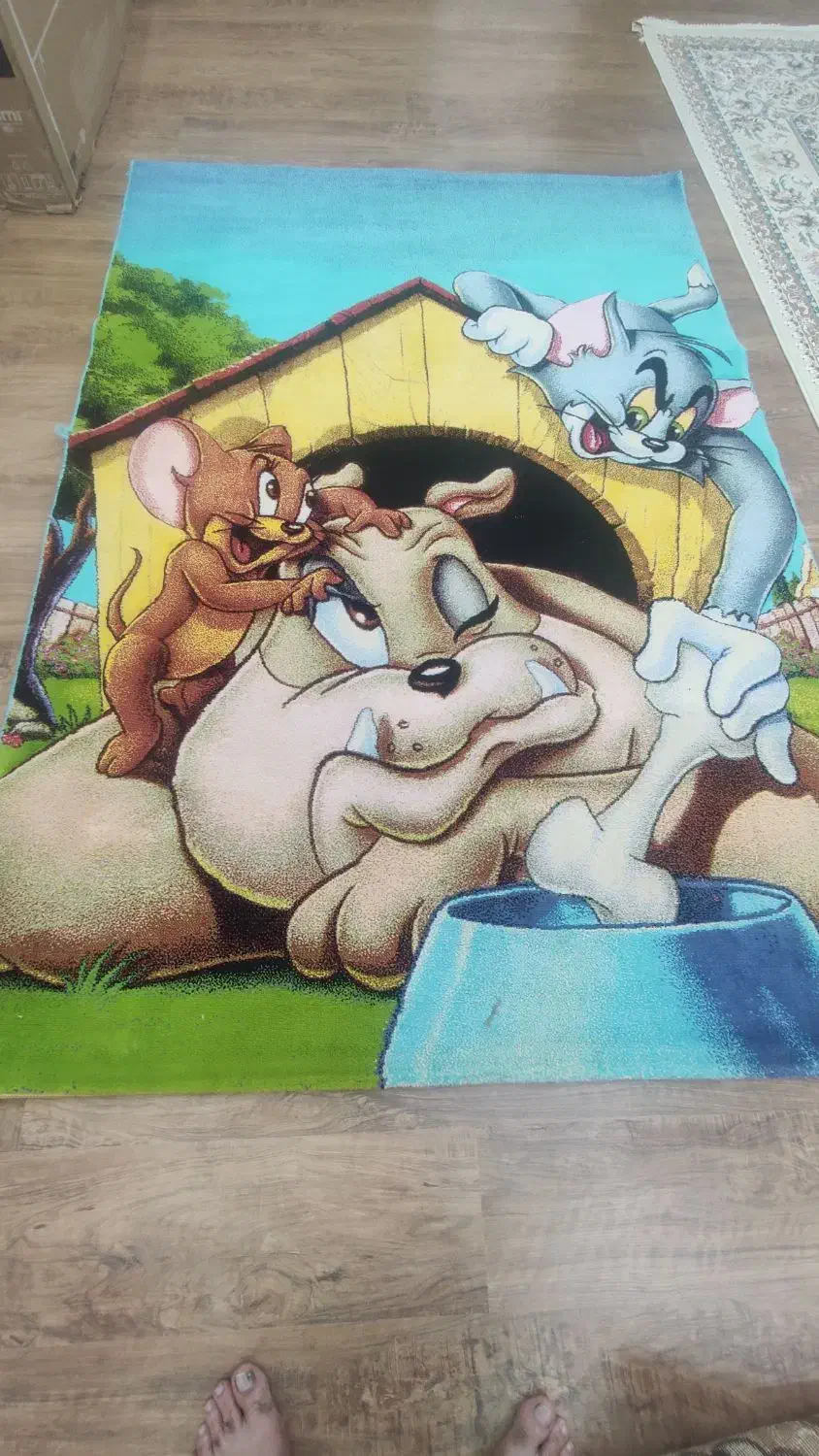 فرش اتاق کودک۴متری|فرش|الوند, |دیوار