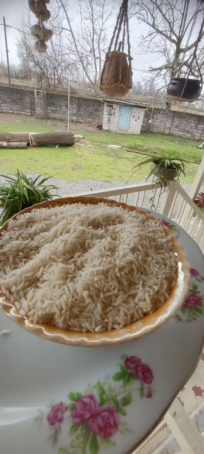 برنج درشت و سرلاشه و نیم دانه هاشمی دسترنج کشاورز|خوردنی و آشامیدنی|رشت, آزادگان|دیوار