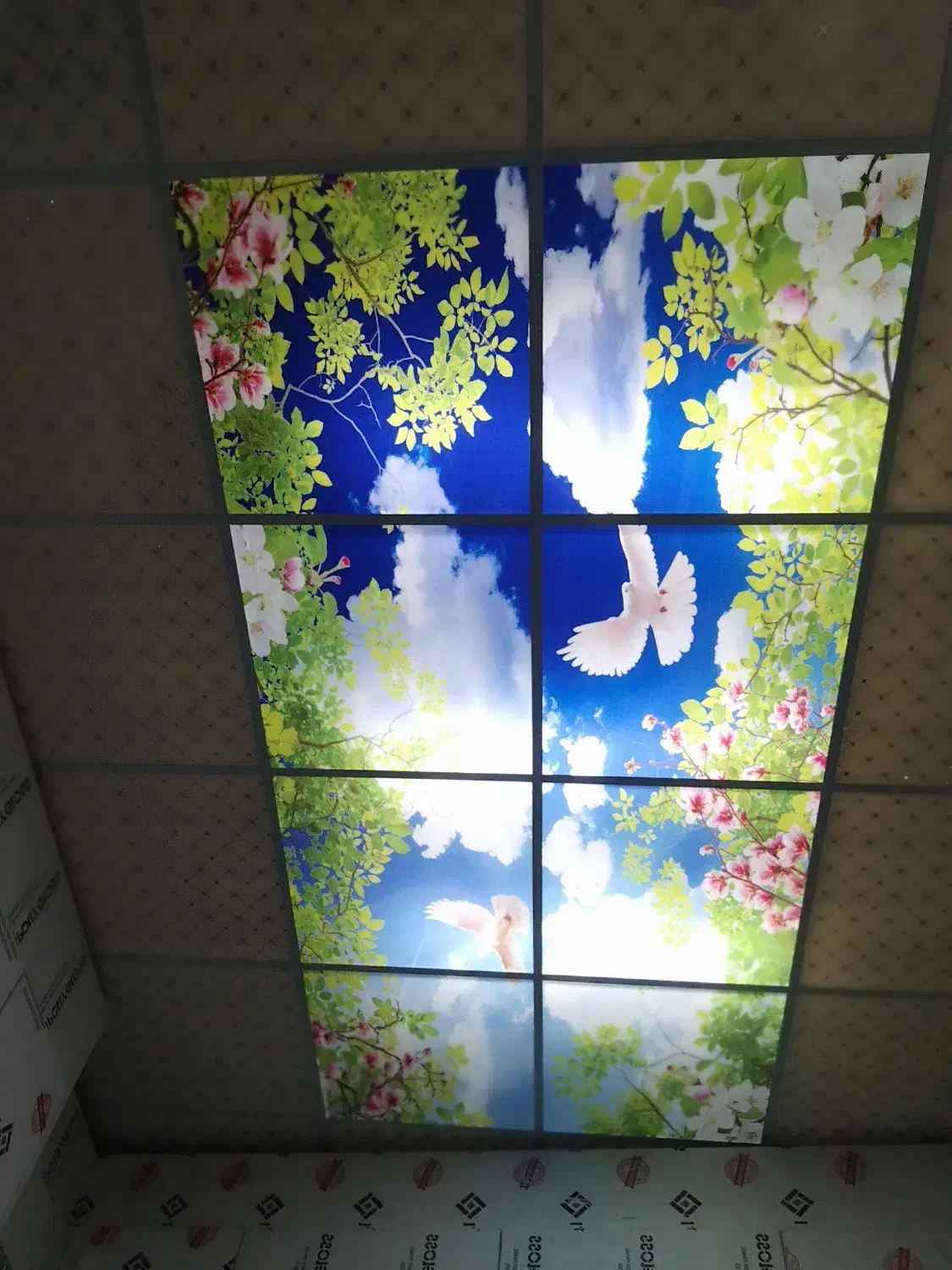 اجرای کناف ،سقف کاذب،پی وی سی ،آسمان مجازی|خدمات پیشه و مهارت|میناب, |دیوار