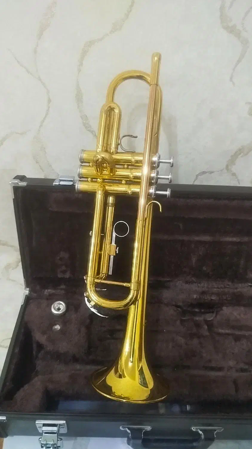 ترومپت|سازهای بادی|اصفهان, چرخاب|دیوار