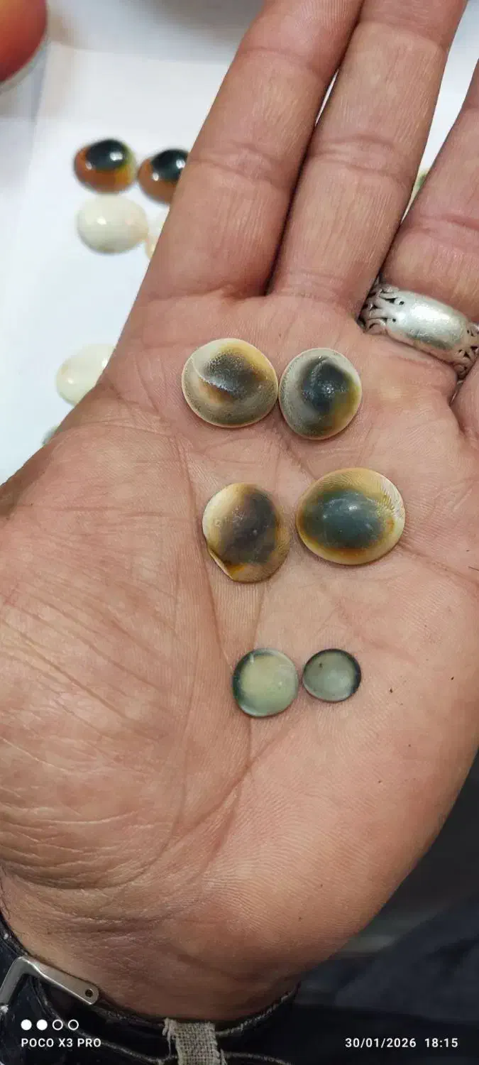 مهره|کلکسیون اشیاء عتیقه|اصفهان, نقش جهان|دیوار