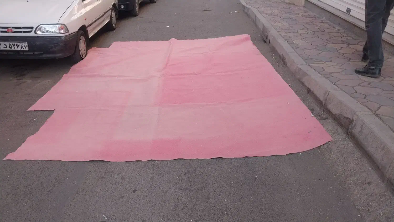 موکت|موکت|زنجان, |دیوار