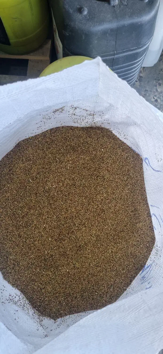 بذرشبدر ایرانی|خدمات باغبانی و درختکاری|خرمآباد, |دیوار