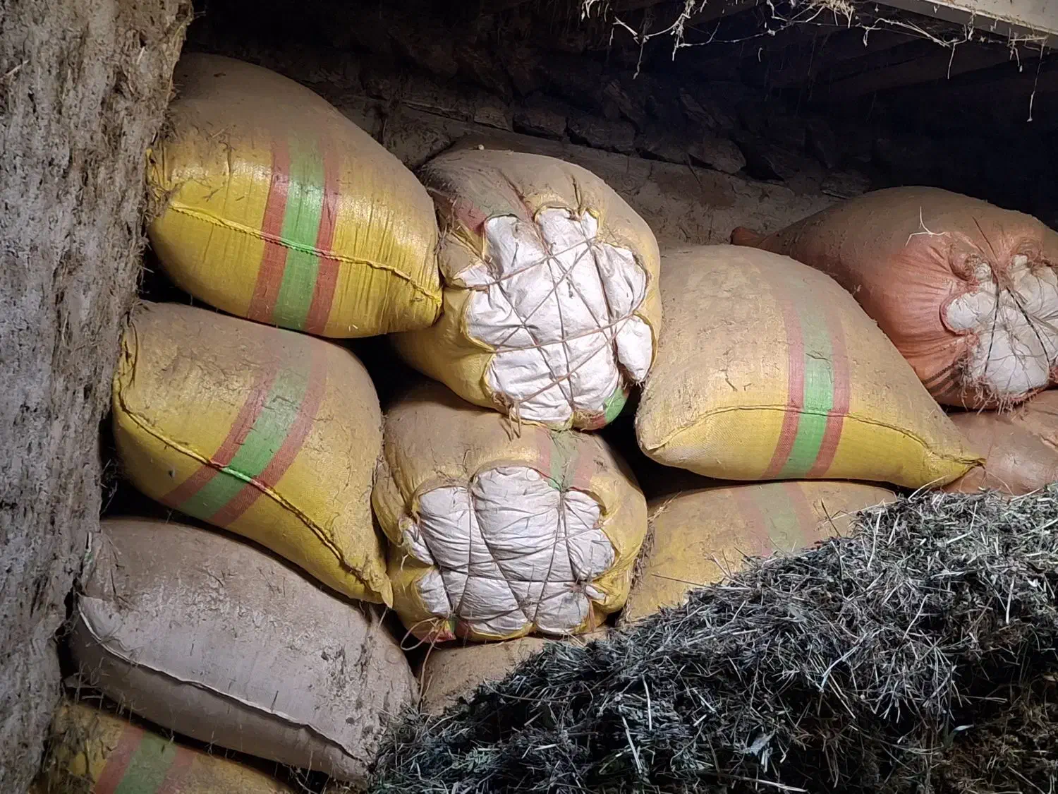 کاه|حیوانات مزرعه|تخت سلیمان, |دیوار