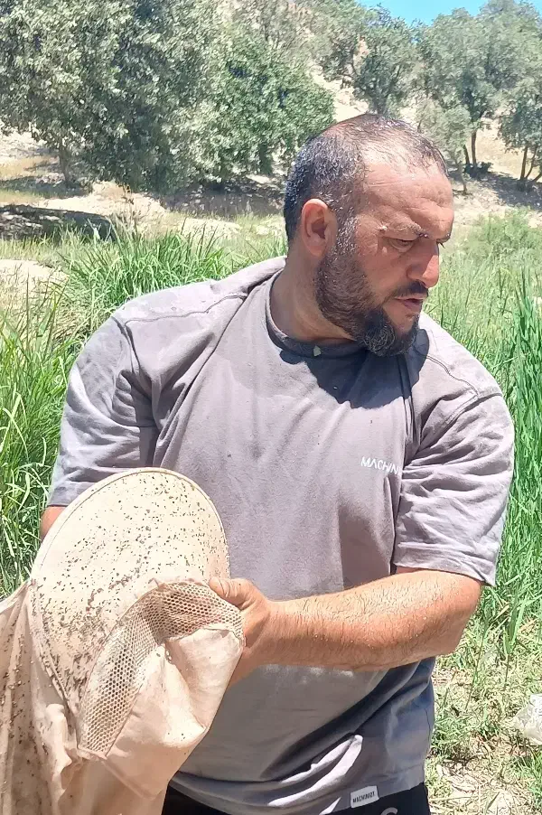 سیمانکاری وتخریب|خدمات پیشه و مهارت|کوهدشت, |دیوار