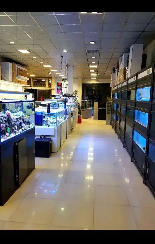 استخدام نظافتچی جهت شرکت نظافتی|استخدام سرایداری و نظافت|تهران, سلسبیل جنوبی|دیوار