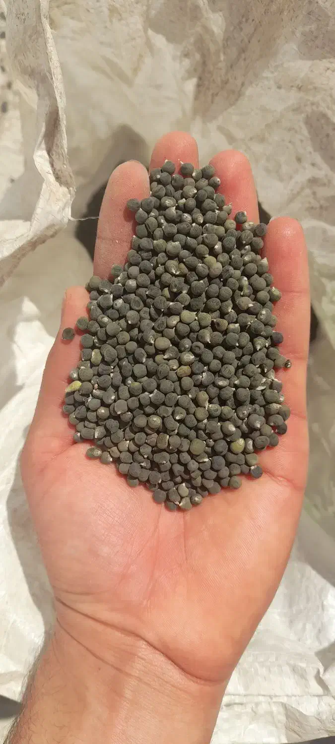 بذر بامیه محلی|گل و گیاه طبیعی|شادگان, |دیوار