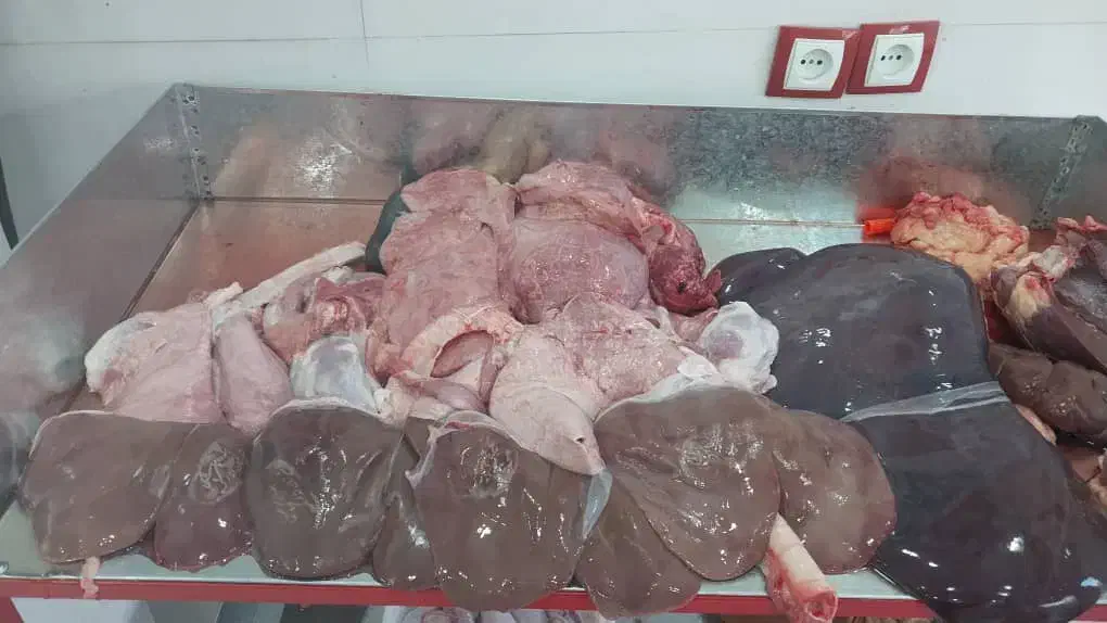 سرای کباب زاگرس|خوردنی و آشامیدنی|اندیمشک, |دیوار