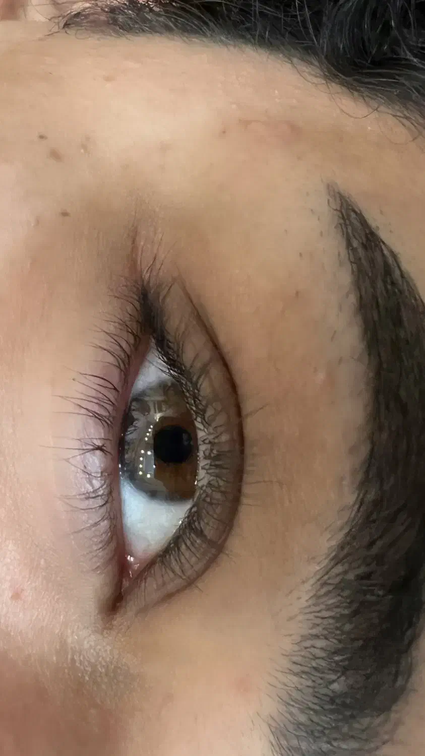 کاشت مژه هیدن ۲۵۰و کاشت ناخن واسپا اف۵۰٪|خدمات آرایشگری و زیبایی|شیراز, شریف‌آباد|دیوار