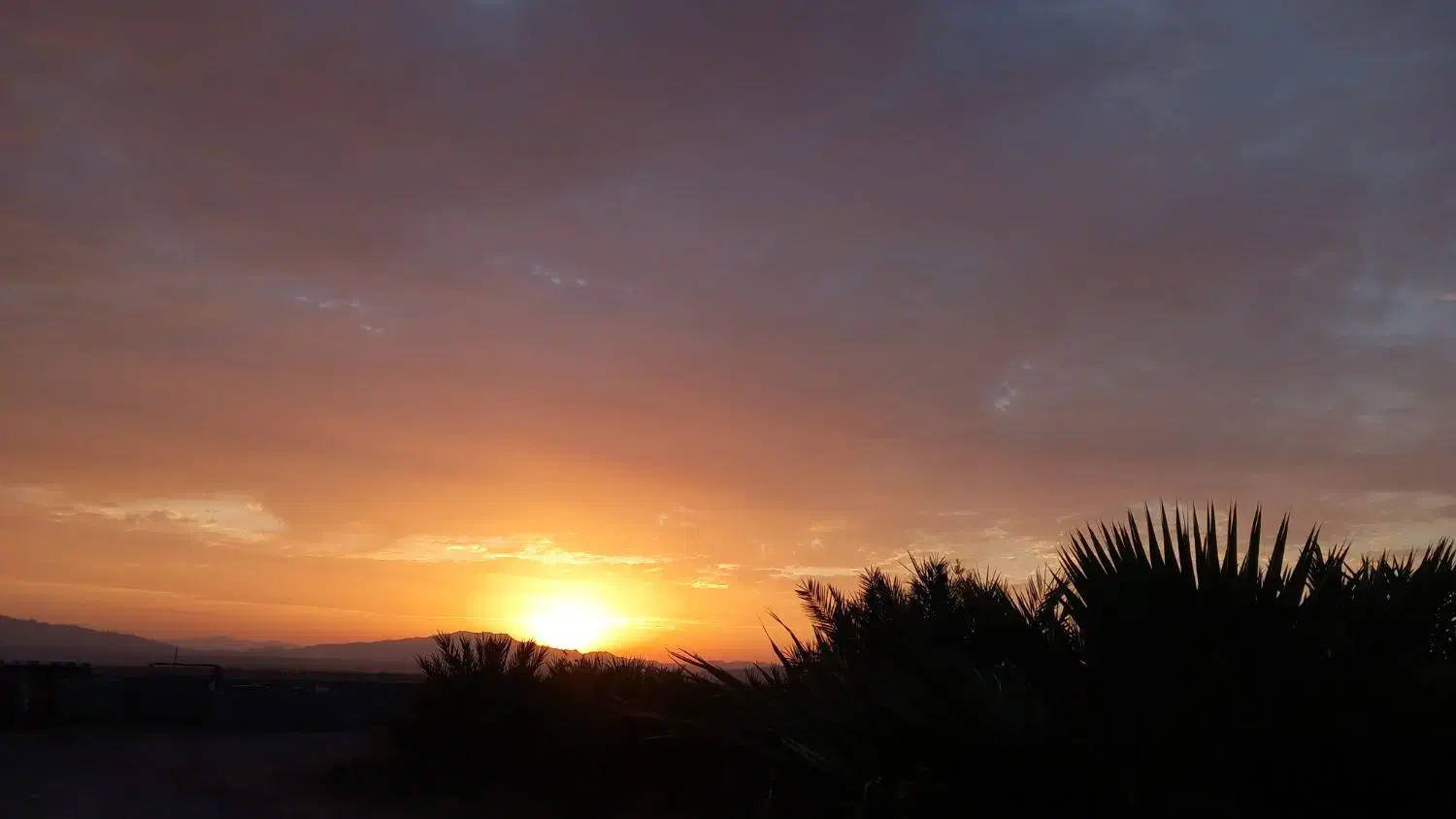 سر کتاب.. دعا|کتاب و مجله مذهبی|سیدان, |دیوار