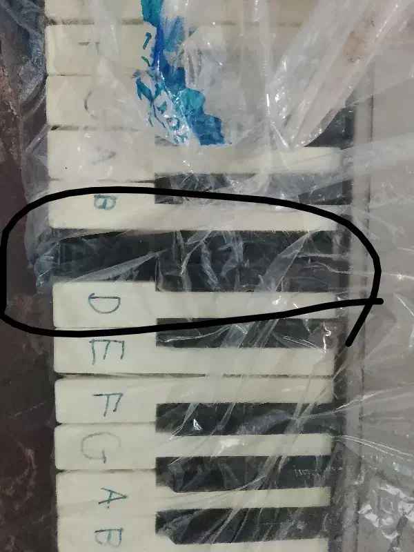 پیانو|پیانو، کیبورد، آکاردئون|ارومیه, |دیوار