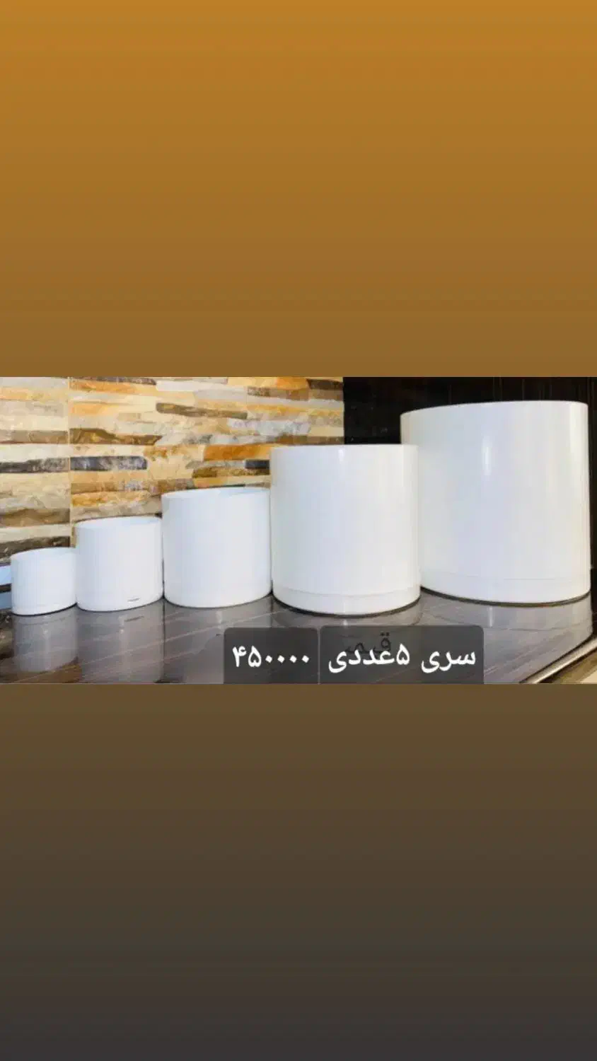 پخش انواع گلدانهای مشکی گلخانه ای|گل و گیاه طبیعی|پاسارگاد, |دیوار