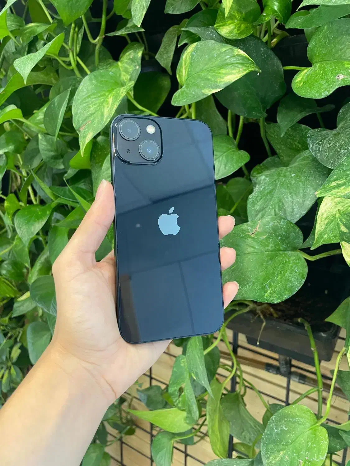 اپل iPhone 13 حافظه 128*قسطی*|موبایل|شیراز, معالی‌آباد|دیوار