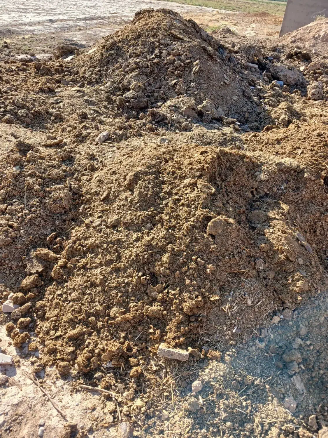 شاگرد|استخدام معماری، عمران و ساختمانی|اسفراین, |دیوار