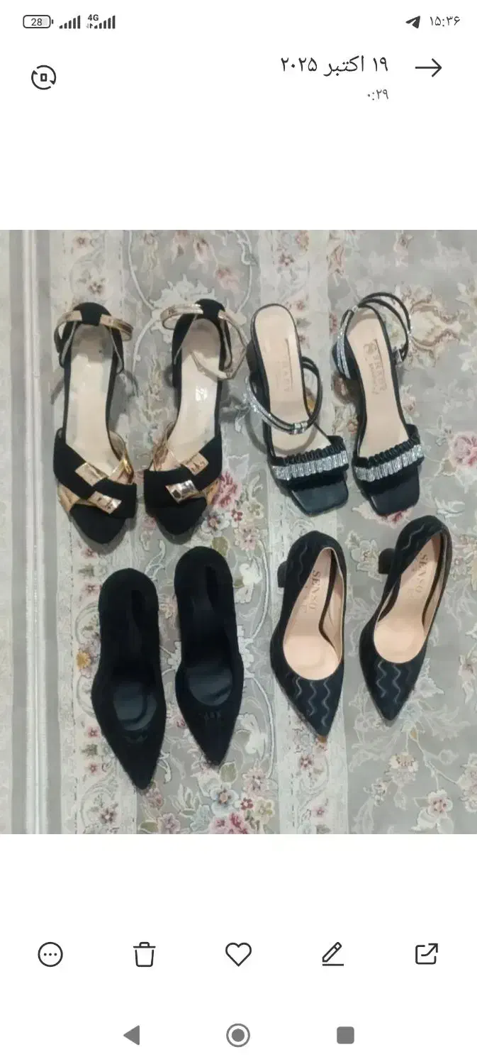 پوشاک|کیف، کفش، کمربند|شهریار, شهرک امیریه|دیوار