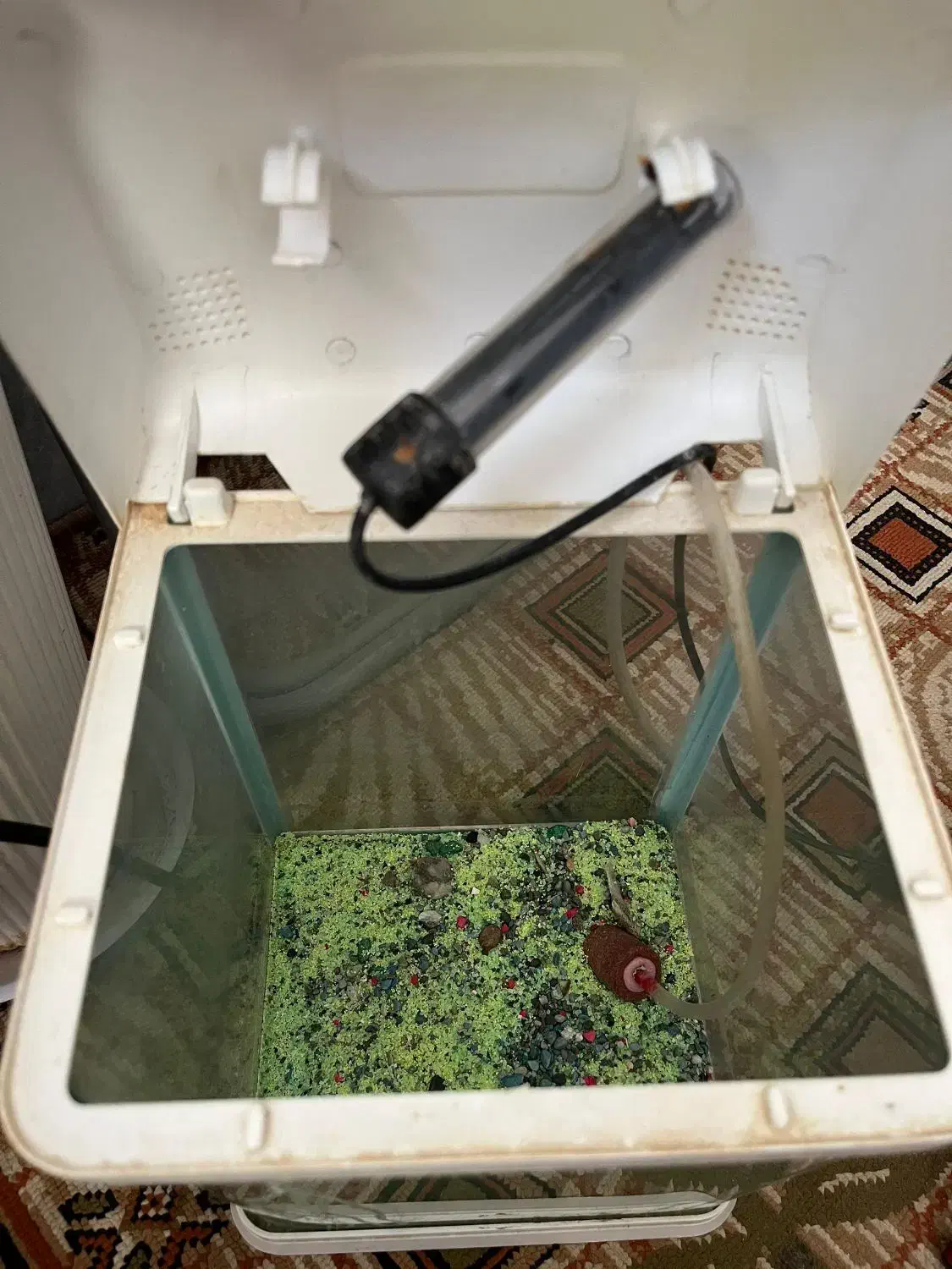 آکواریوم آکوا|ماهی|ابریشم, |دیوار