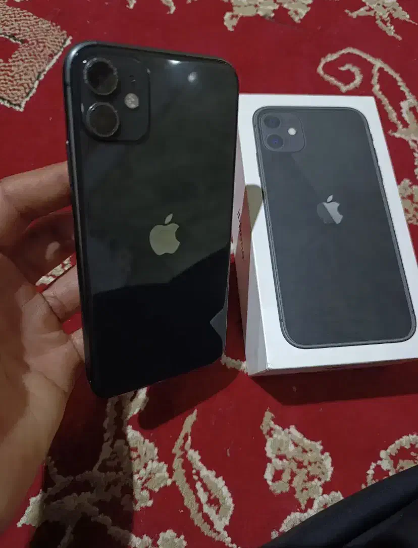 ایفون ۱۱|موبایل|زاهدان, |دیوار