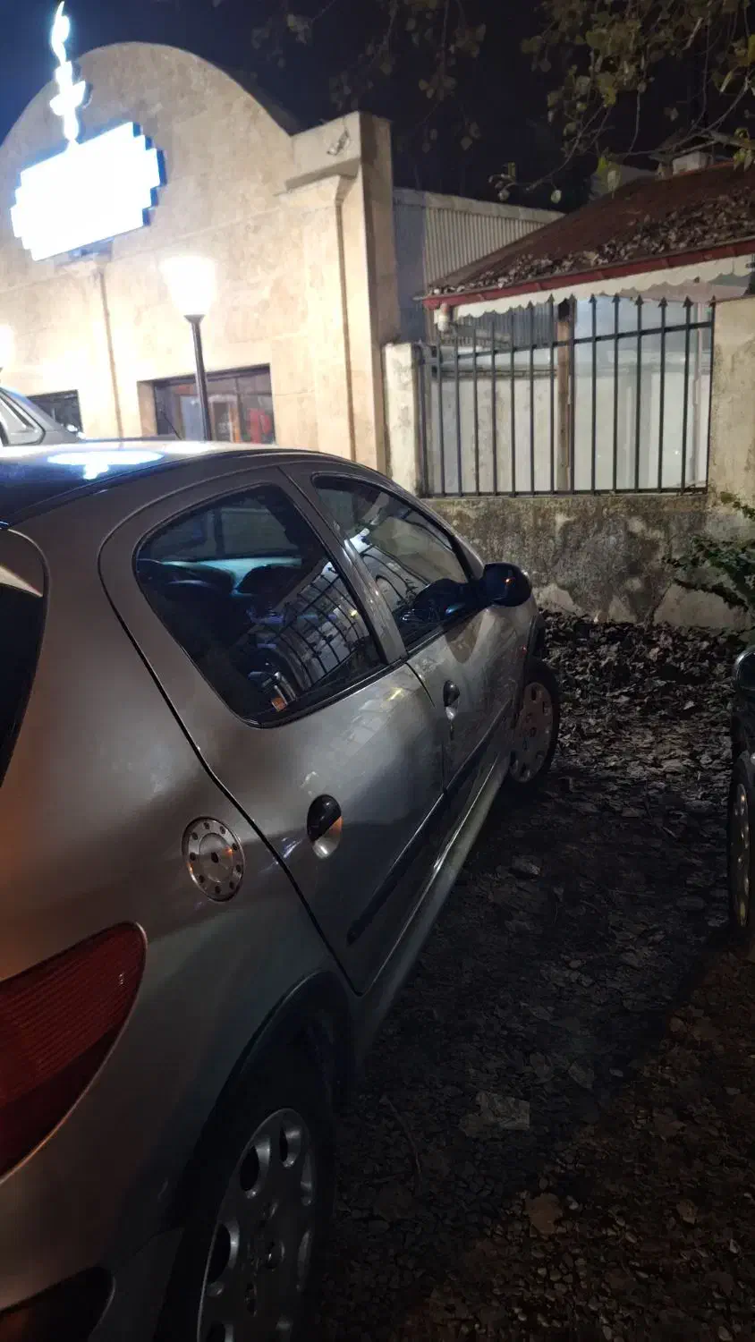 206 نقره ای|خودرو سواری و وانت|رشت, کاکتوس|دیوار