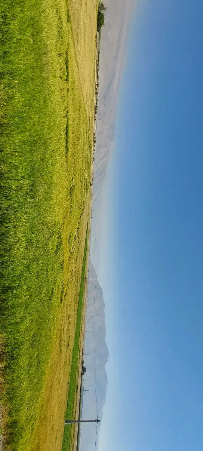 اجاره سه هکتار زمین برای کشت گوجه فرنگی|اجارهٔ دفتر صنعتی، کشاورزی، تجاری|درودزن, |دیوار