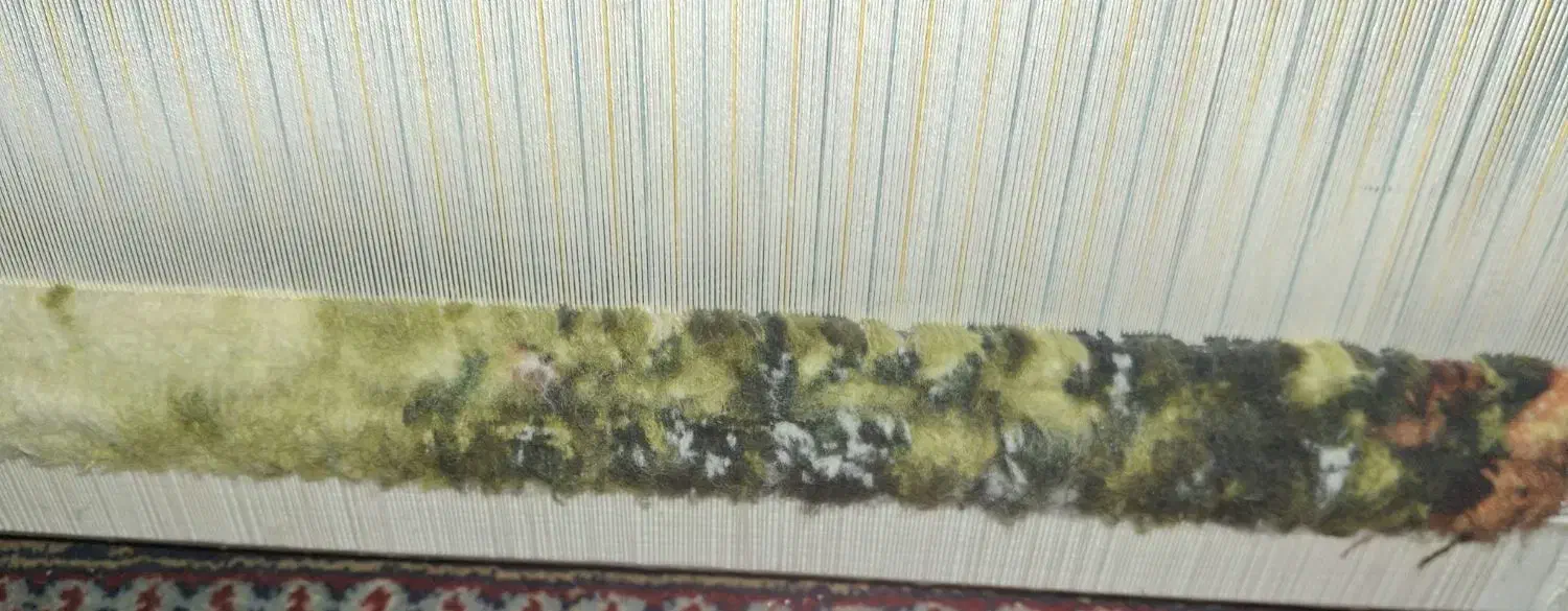 تابلو فرش|تابلو فرش|شیراز, آزادگان|دیوار