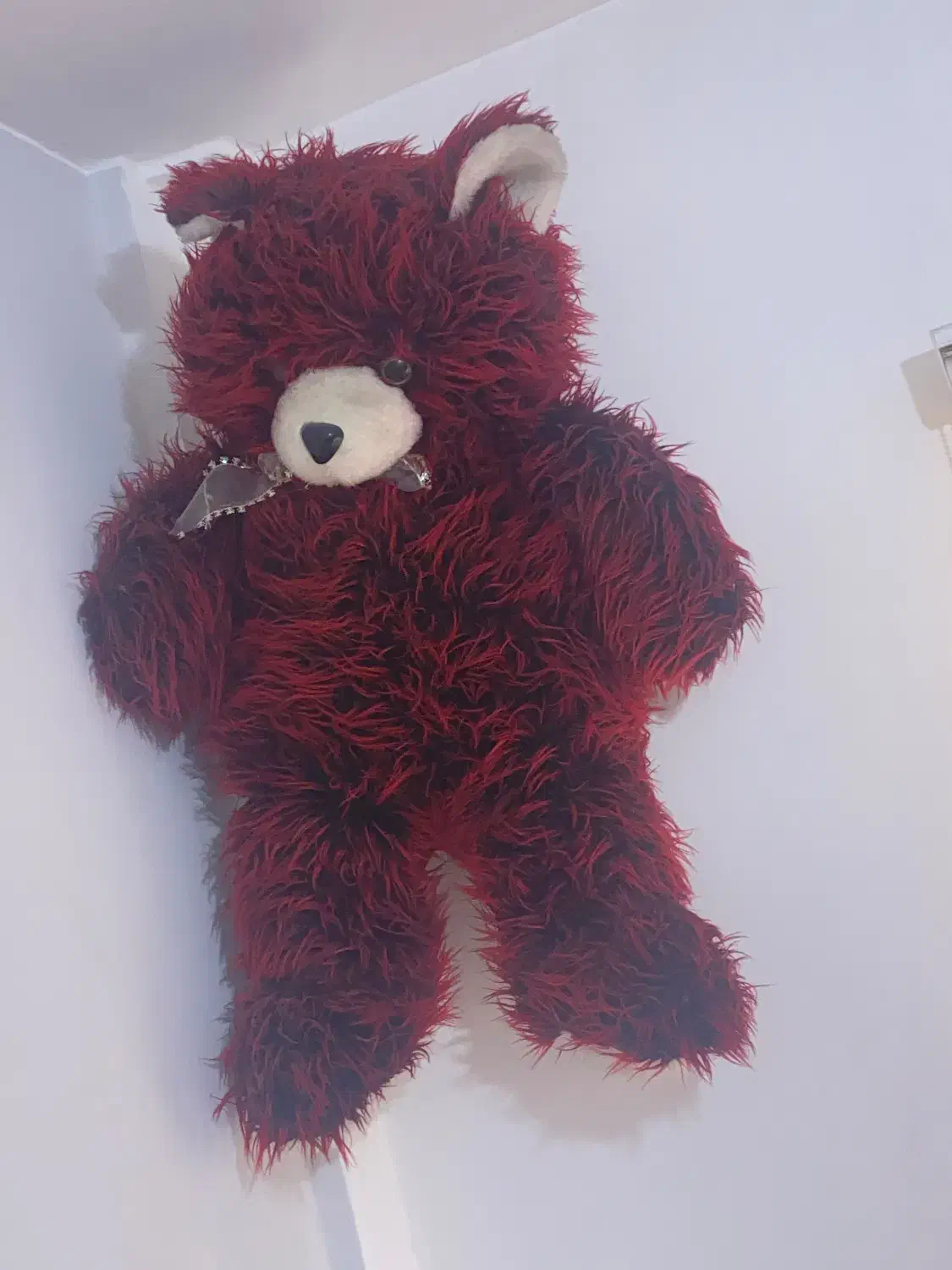 شاسخین قرمز|اسباب‌‌بازی|ارومیه, |دیوار