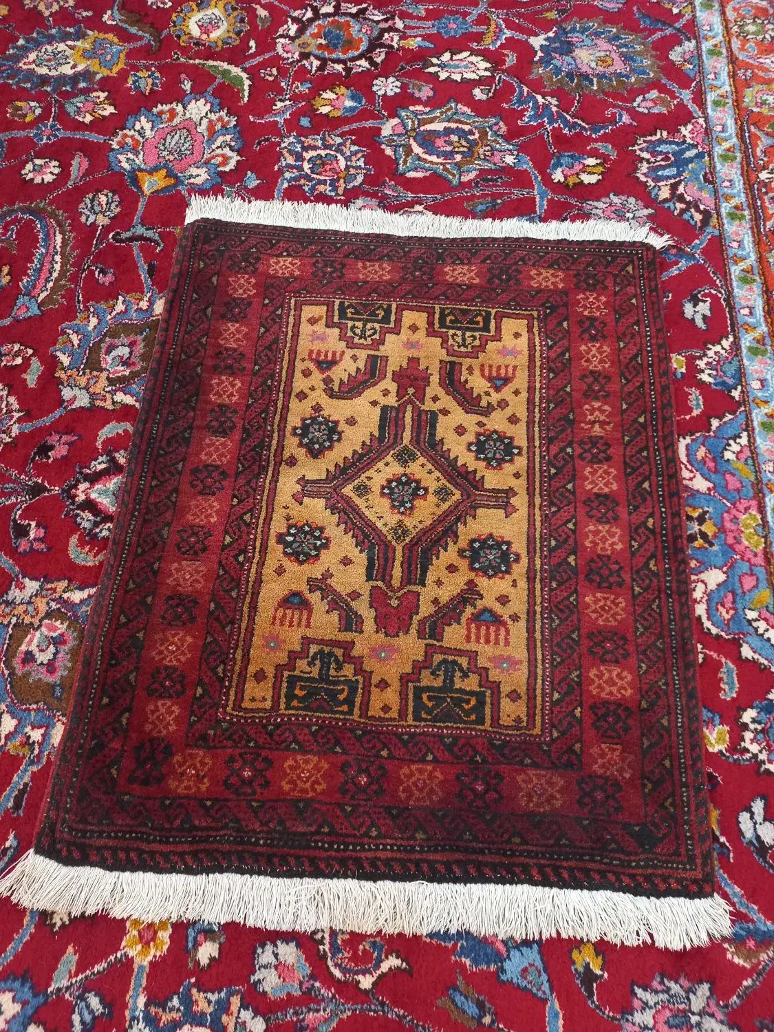 قالیچه دستبافت خوشرنگ نفیس درحدنو|پادری|مشهد, سعد آباد|دیوار