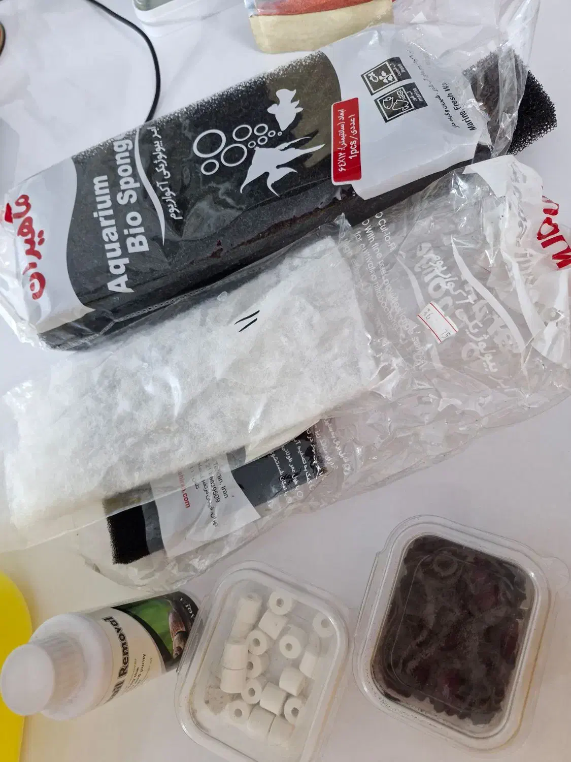 آکواریوم کوچک|ماهی|مشهد, جاهد شهر|دیوار