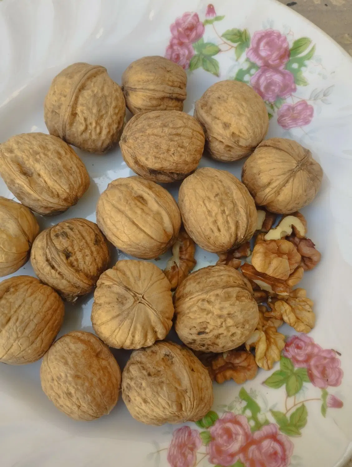گردو|خوردنی و آشامیدنی|شاهرود, |دیوار