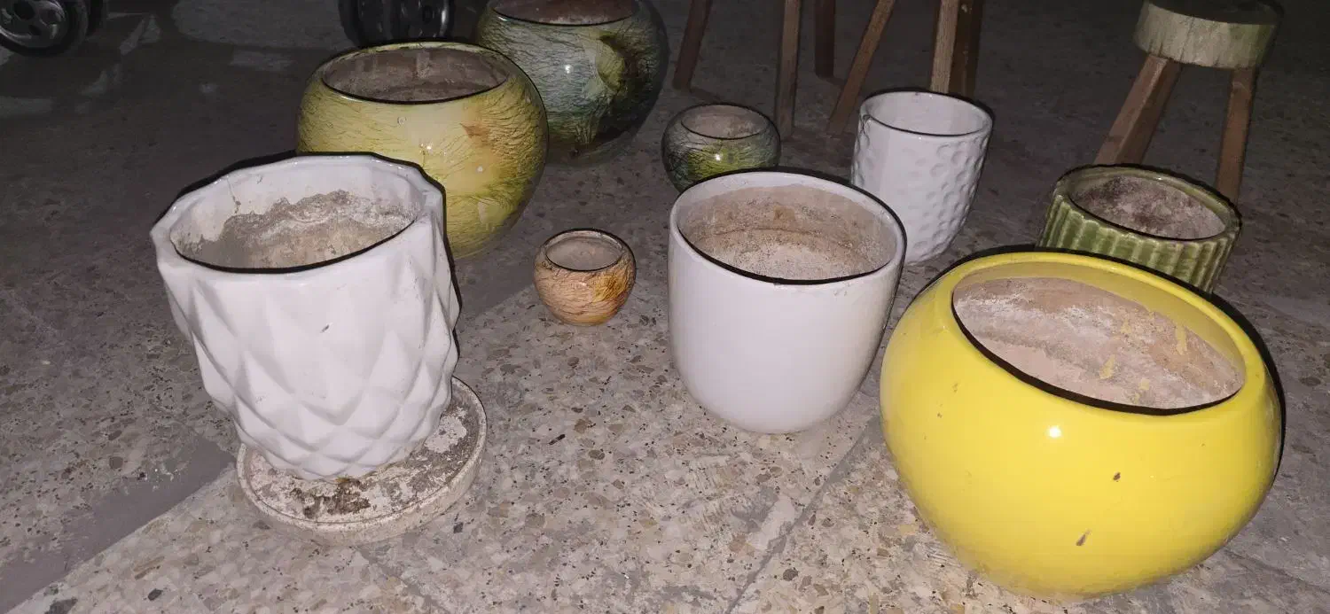 گلدان و سه پایه|گل و گیاه طبیعی|اهواز, بهارستان|دیوار