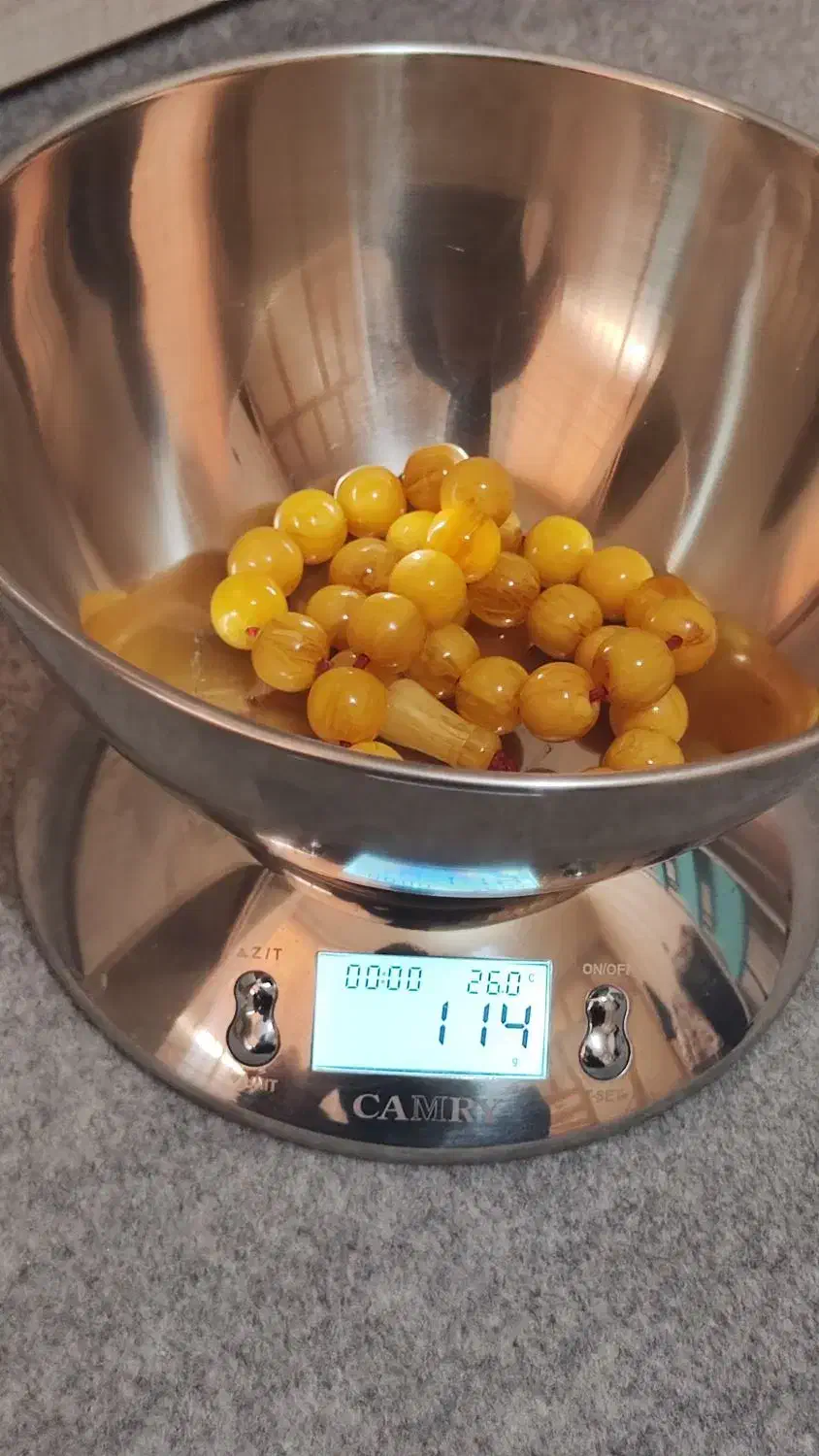 تزبیح سندلوس رگ دار قدیم|کلکسیون اشیاء عتیقه|بانه, |دیوار