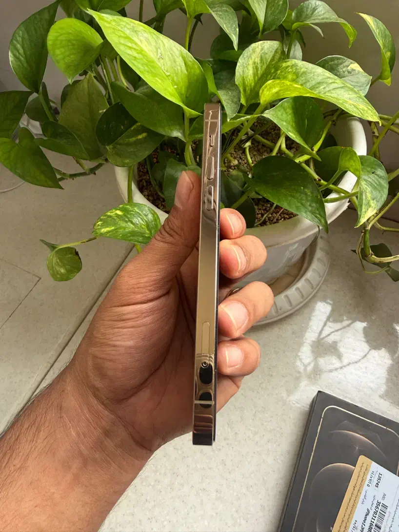 Iphone 12 Pro 256/Za|موبایل|دزفول, |دیوار