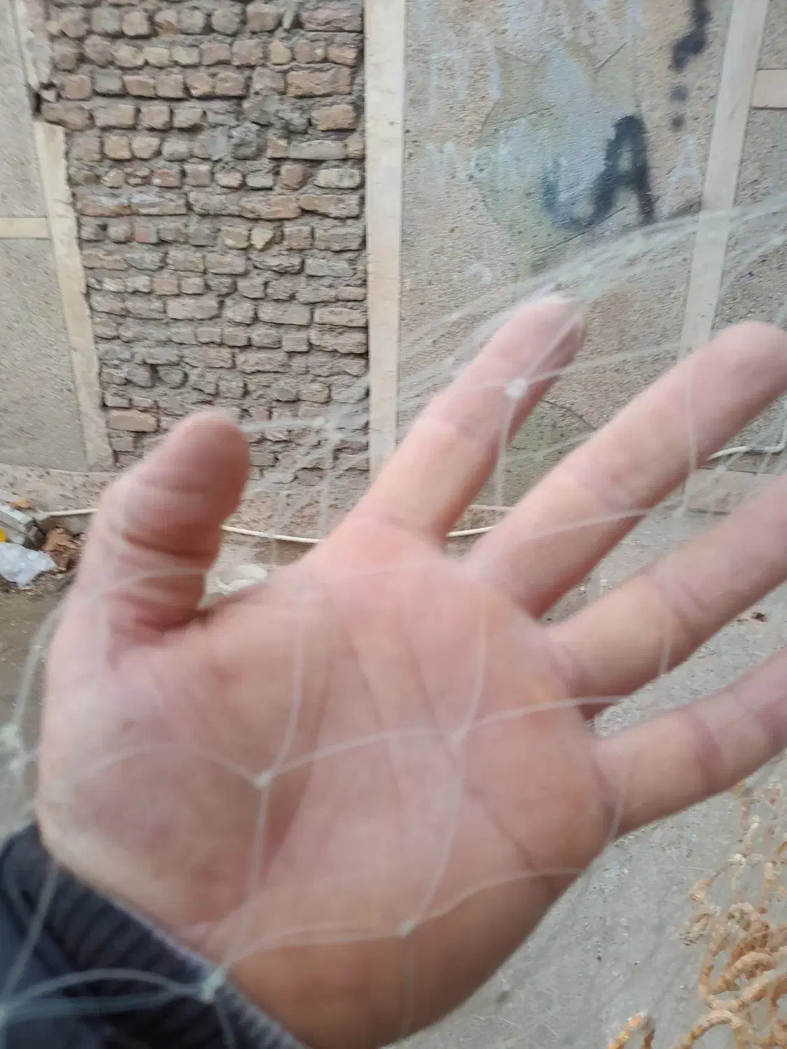 تور ماهیگیری|ماهیگیری|خرمآباد, |دیوار