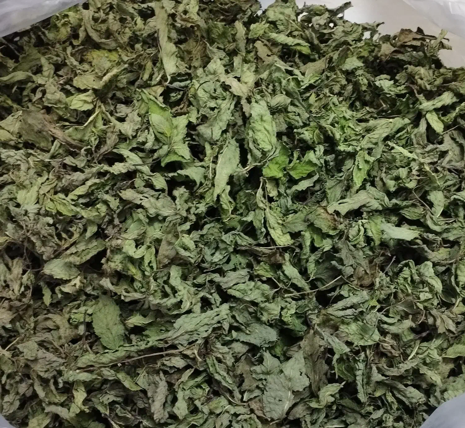 سبزی مارکت صفا|خوردنی و آشامیدنی|شیراز, دست خضر|دیوار