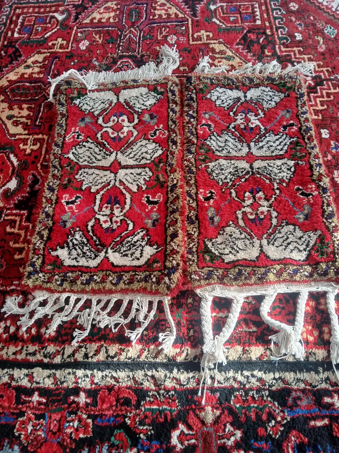 فروش جفت فرش پادری|پادری|تبریز, |دیوار