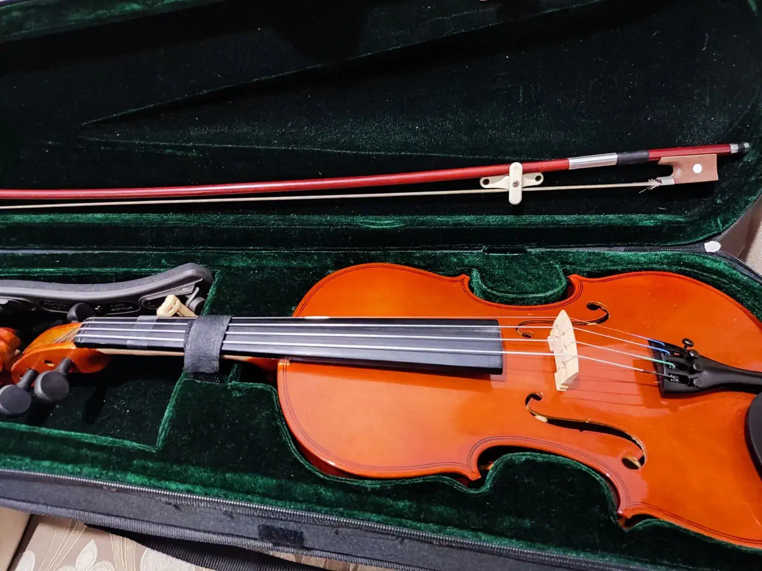 ویالن|ویولن|بوشهر, |دیوار