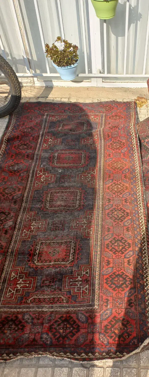 دوتخته قالیچه قدیمی|فرش|تهران, علم و صنعت|دیوار