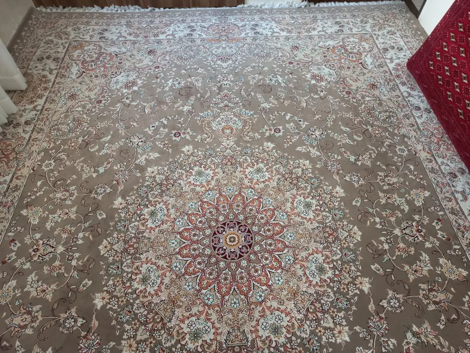 فرش12متری|فرش|مشهد, تربیت (صدف)|دیوار