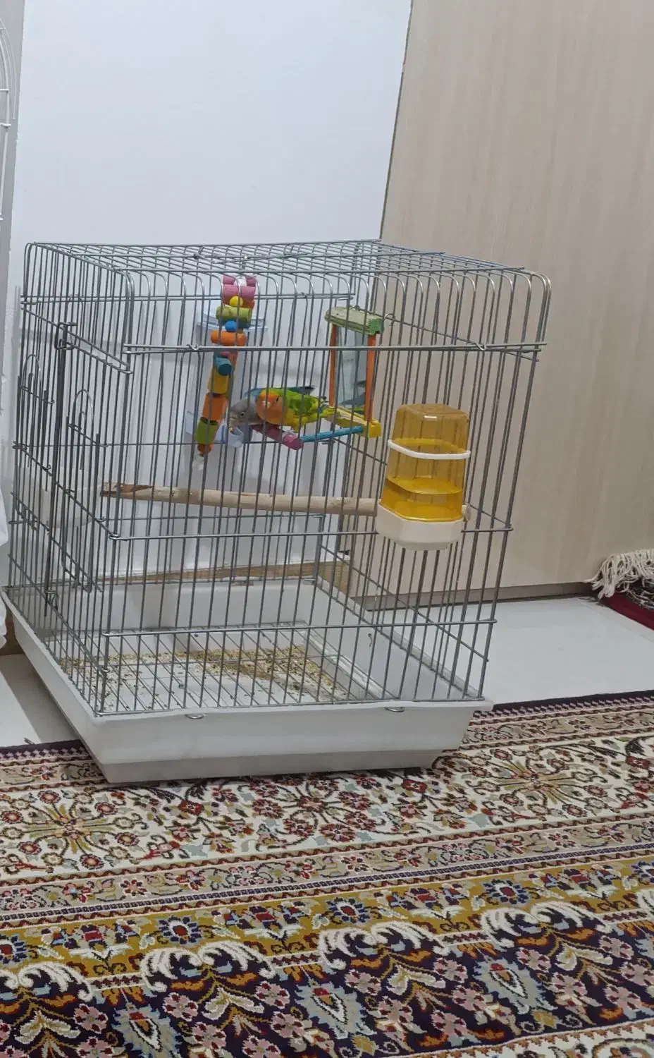 قفس عروس هلندی|لوازم جانبی حیوانات|سنقر, |دیوار