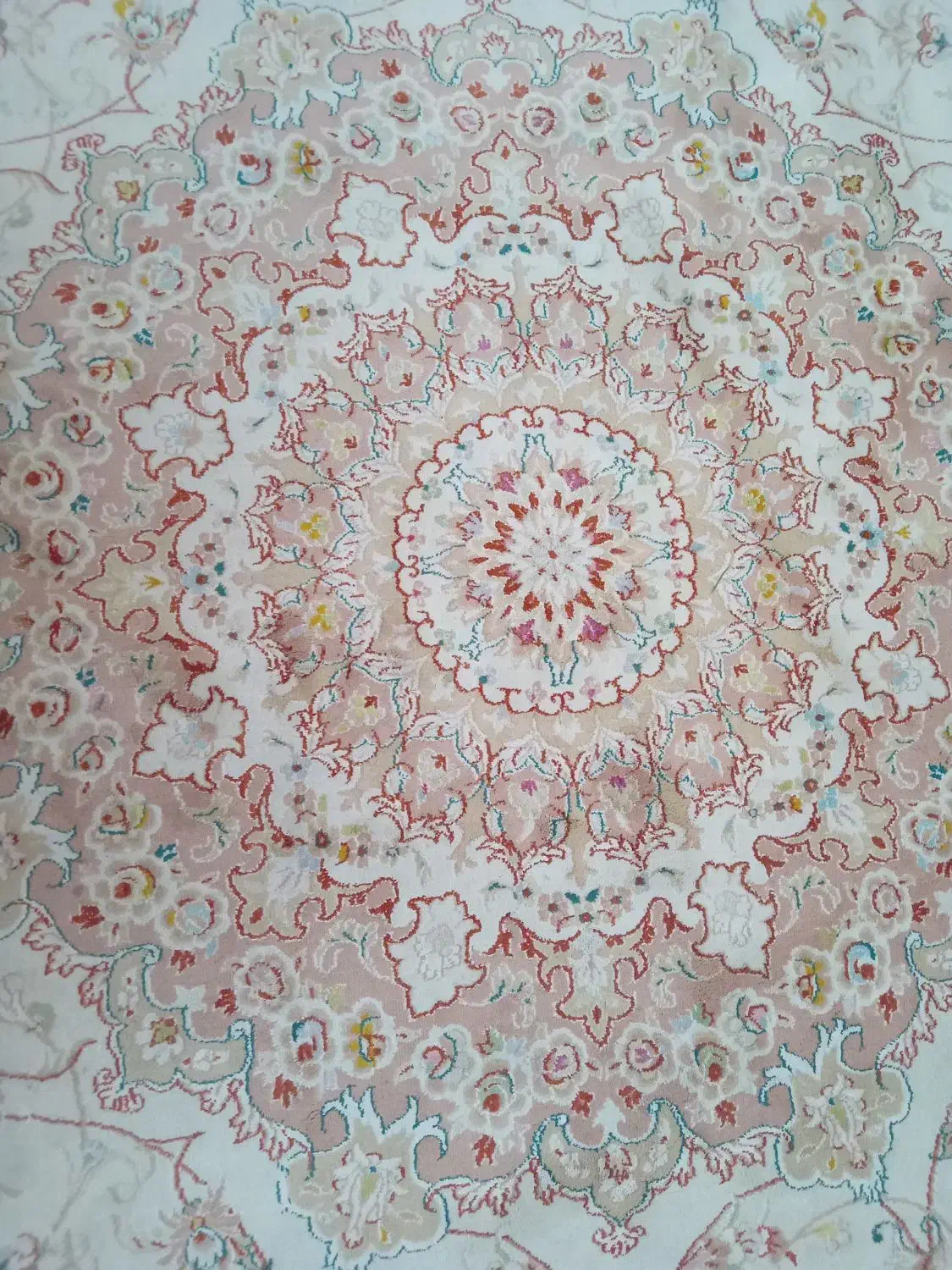 دو تا فرش دوازده متری یک ۶ متری ۵۰۰ شانه|فرش|مشهد, شهید مطهری|دیوار