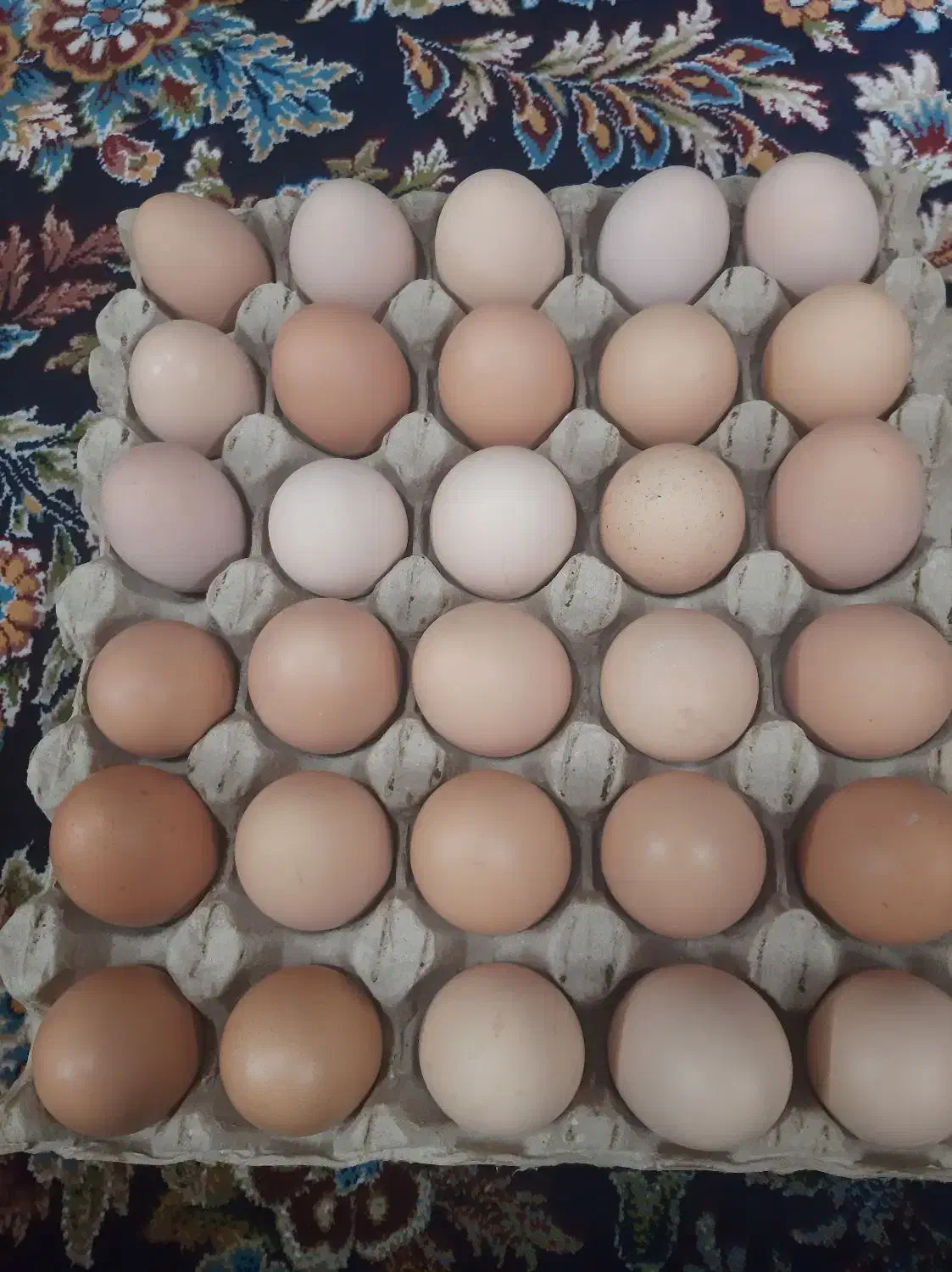 تخم مرغ محلی|خوردنی و آشامیدنی|قم, شاه ابراهیم|دیوار