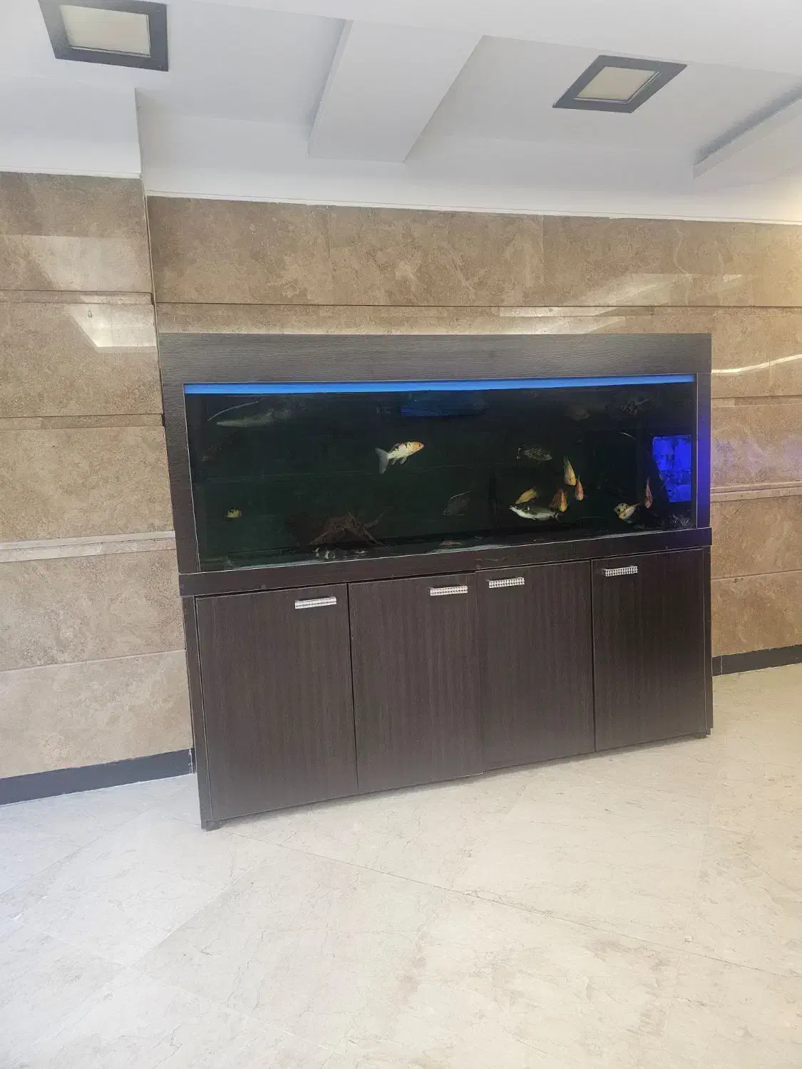 واحد ۱۰۰ متری /۲ خواب برج باغ  ازگل