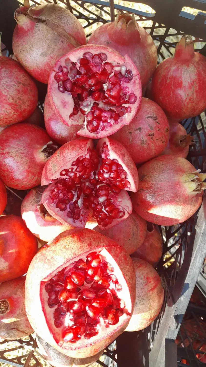 فروش انار ارسنجان|خوردنی و آشامیدنی|ارسنجان, |دیوار