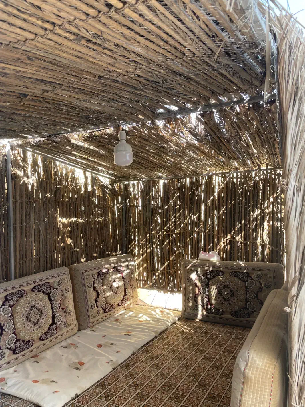 الاچیق|کوهنوردی و کمپینگ|رفسنجان, |دیوار