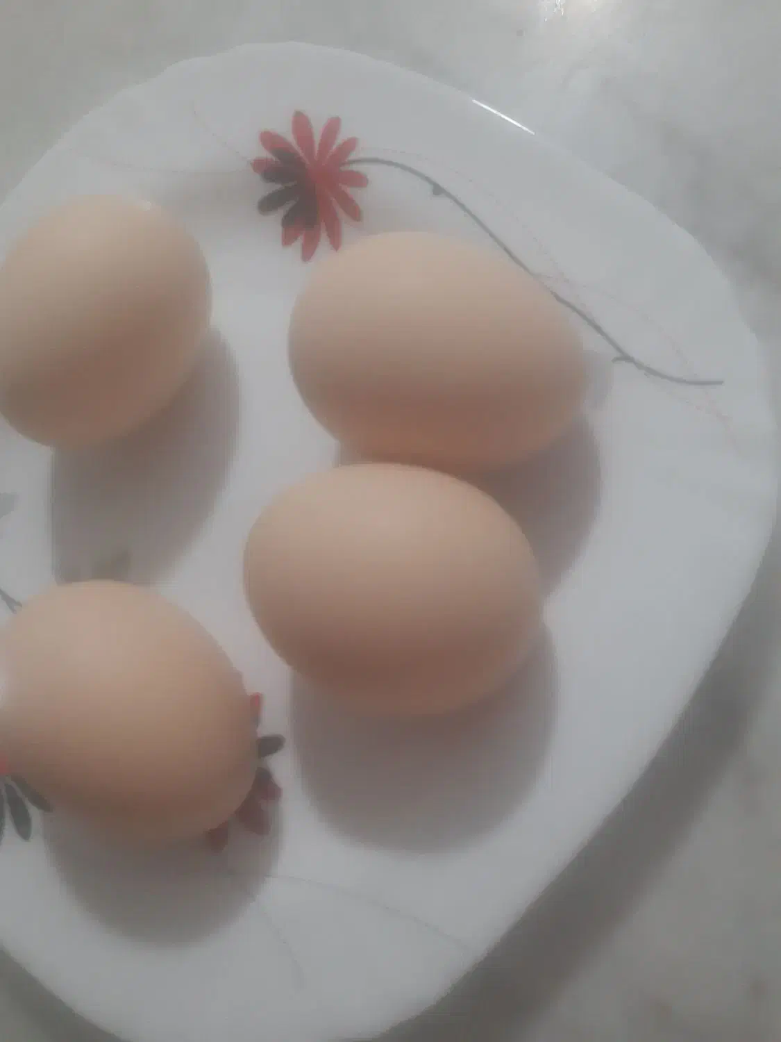 تخم مرغ محلی|خوردنی و آشامیدنی|طاغنکوه, |دیوار